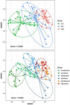 A comparison of intertidal metazoan biodiversity among different salinity zones of Louisiana coastal marshes